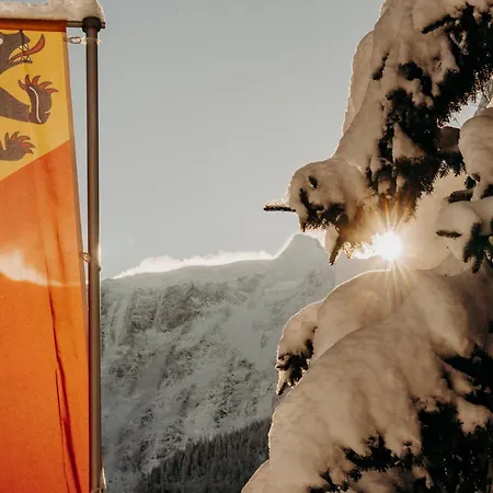 Parkhotel Schoenegg מלון