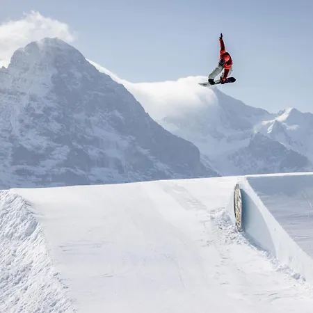 Parkhotel Schoenegg מלון גרינדלוולד