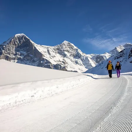 Hotel Parkhotel Schoenegg Grindelwald