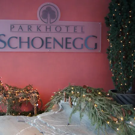 Ξενοδοχείο Parkhotel Schoenegg Γκρίντελβαλντ