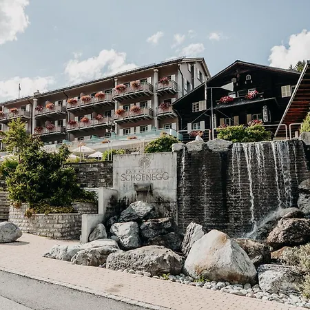 Ξενοδοχείο Parkhotel Schoenegg Γκρίντελβαλντ