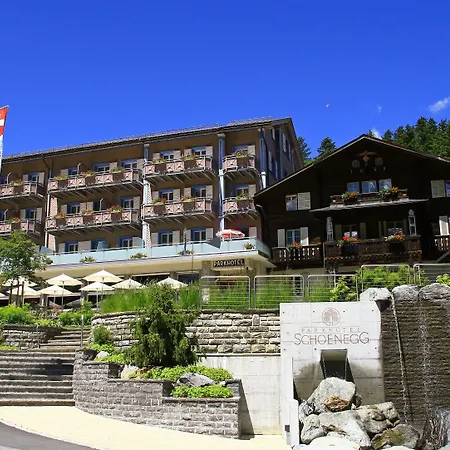 Parkhotel Schoenegg 3* Γκρίντελβαλντ