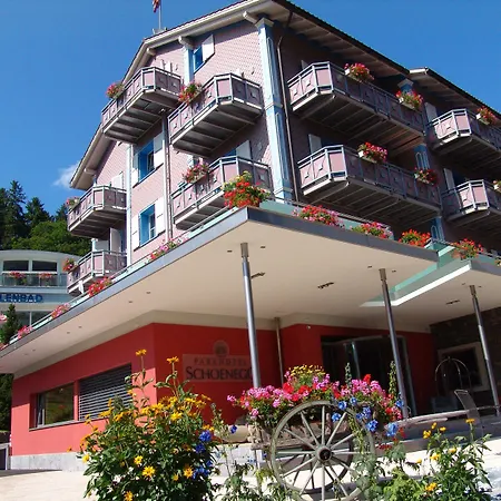 Parkhotel Schoenegg 3* Γκρίντελβαλντ
