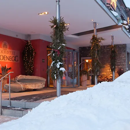 Ξενοδοχείο Parkhotel Schoenegg Γκρίντελβαλντ