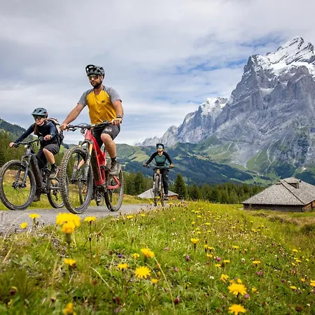 파크호텔 쇤네그 3* 그린델발트