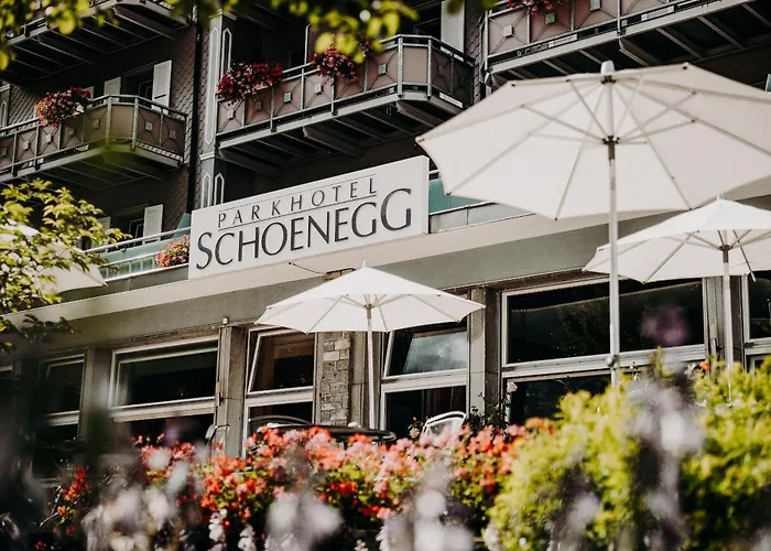 파크호텔 쇤네그