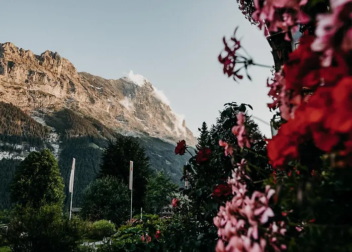 파크호텔 쇤네그 호텔