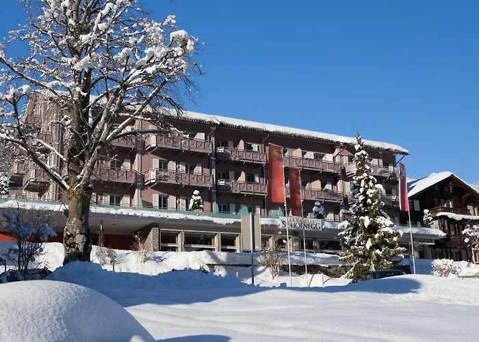 パークホテル シェーネッグ ホテル 3*