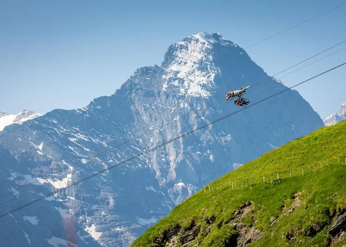パークホテル シェーネッグ 3* グリンデルヴァルト