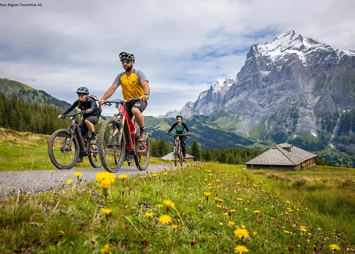 パークホテル シェーネッグ 3* グリンデルヴァルト
